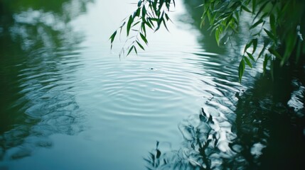 Aufkleber - Tranquil close-up of a serene turquoise water surface with gentle ripples and soft reflections framed by lush green foliage in a peaceful natural setting