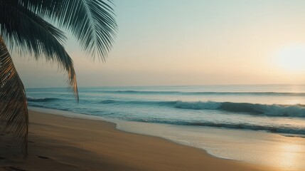 Poster - Serene ocean sunset over gentle waves with clear sky and palm tree silhouette on sandy beach creating a tranquil relaxation atmosphere