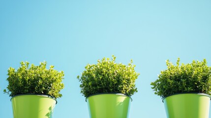 Wall Mural - Green planters with lush greenery on a bright day outdoors against a clear blue sky providing ample empty space for text or graphics