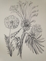 hand made graphics of flowers