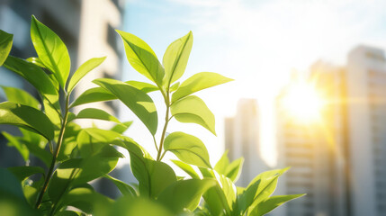 Wall Mural - Fresh green leaves basking in sunlight with urban buildings in background