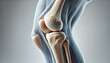 © MohamadMustafa - Realistic illustration of a human knee joint, showing bones and cartilage, isolated on a light neutral background for medical or educational purposes,