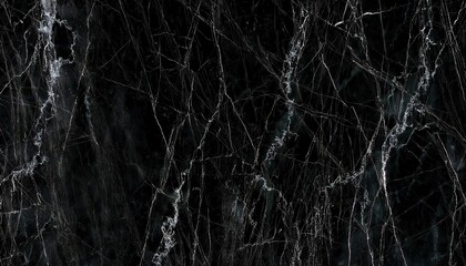 Aufkleber - black marble texture with white veining patterns for elegant background, design projects, luxury interiors, or branding elements