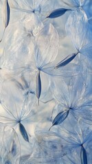 Poster - Clusters of dandelion seeds catch sunlight, their delicate structures appearing almost ethereal. The fragile filaments sway gently, embodying the grace of nature in a moment of stillness