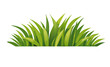 © Animaflora PicsStock - green grass icon vector graphic design on transparent background