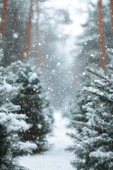 Poster - Snow falling on pine trees in winter forest creating magical atmosphere