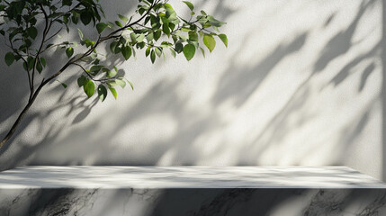 Poster - Light and shadow interplay on a minimalistic shelf with greenery in the background