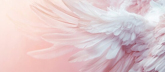 Poster - soft pink gradient background with delicate white feathered wings creating an ethereal banner design