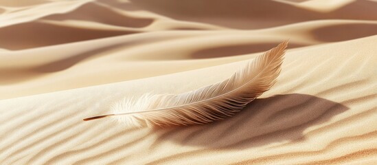 Poster - Delicate beige feather resting on warm golden desert sand with gentle shadows and soft dunes creating a serene empty space for text.
