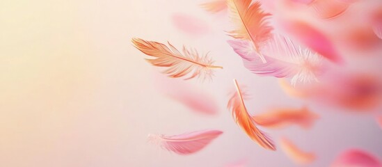 Poster - Delicate pastel feathers gracefully soaring against a soft pink and peach background with ample empty space for creative text elements.