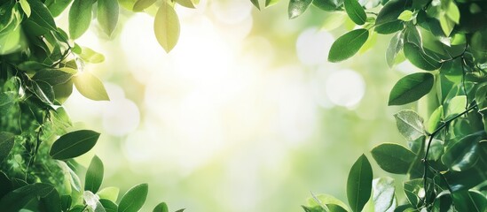 Poster - Lush Greenery Frame Featuring Soft Sunlight with Bright Natural Bokeh Background Highlighting Energy and Sustainability Concepts for Text Insert