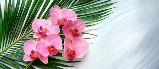Poster - Vibrant pink orchid blossoms positioned gracefully alongside lush green palm leaves on a soft winter backdrop with ample space for text.