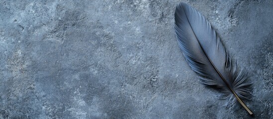 Poster - Soft Focus Macro Close-Up of Delicate Gray Feather Texture on Dark Gray Background with Ample Empty Copy Space for Text or Design