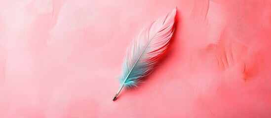 Poster - Delicate feather in spring green and coral tones resting on vibrant soft pink textures with ample empty copyspace for creative text placement.