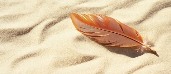 Poster - Delicate orange feather gently resting on soft beige beach sand with smooth texture and ample empty copyspace for text.