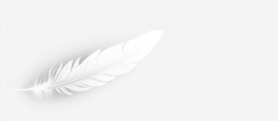Poster - Delicate White Goose Feather Texture on Soft Light Gray Background with Ample Copyspace for Minimalist Designs and Text Elements