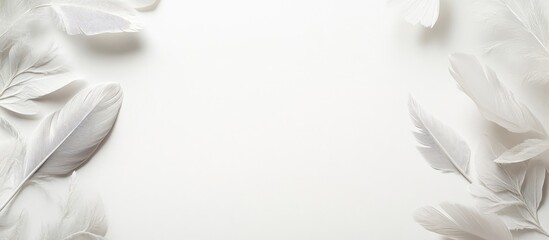 Poster - White Feathered Elegance Surrounding Blank Space on Soft Background for Serene Text Placement in Minimalist Nature-Inspired Decor Setting