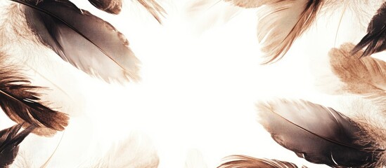 Poster - Bohemian Feather Composition in Earthy Tones with Central Copyspace for Text and Elegant Brown and Cream Feather Details