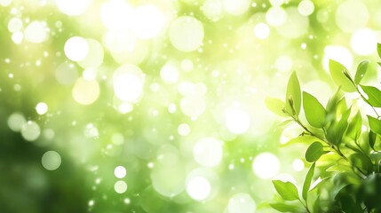 Poster - Sunlit Green Bokeh Background with Out of Focus Bright Circular Highlights and Leaves in Foreground for Text Overlay