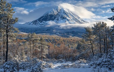 Wall Mural - Majestic snow-capped peak rising above a winter forest.