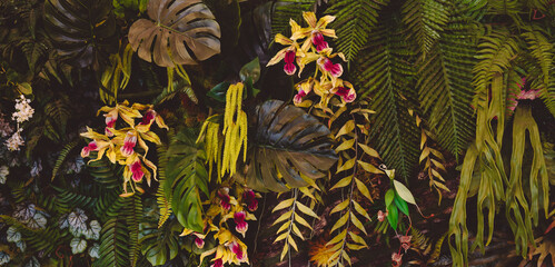 Wall Mural - abstract green leaf texture, tropical leaf foliage nature dark green background