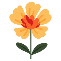 Wall Mural - Marigold flower illustration colorful design vector