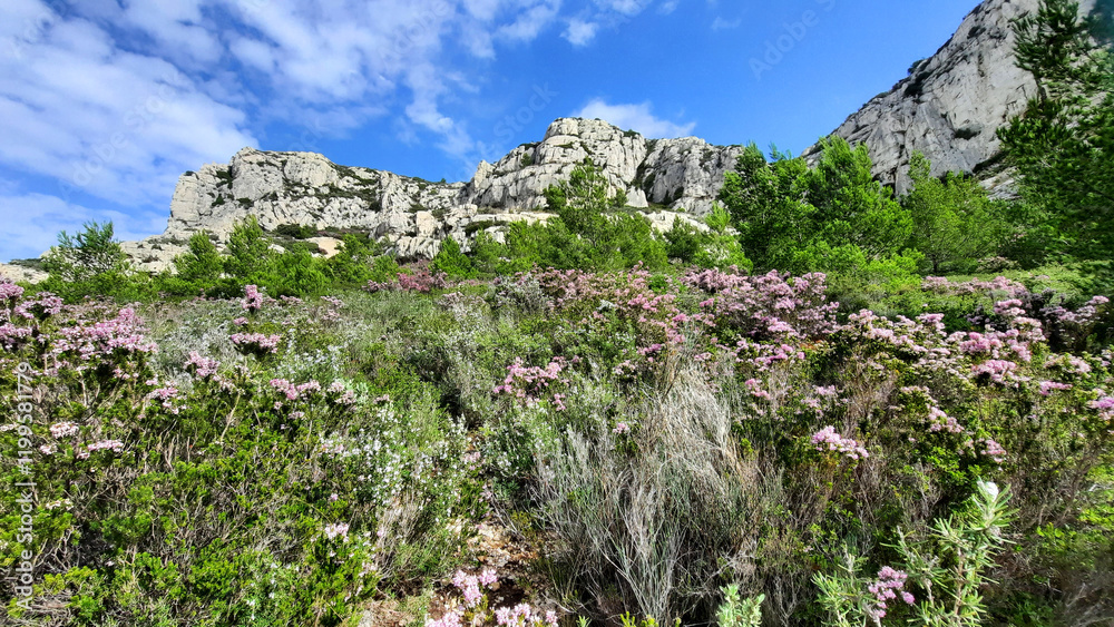 Le sentier de randonnée qui mène à la calanque de Sormiou à Marseille