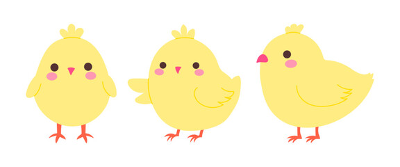 Wall Mural - three cute yellow chicks standing next to each other