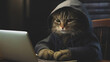 © tasslo.studio - A tabby cat, wearing a gray hoodie, sits in front of a laptop with a focused expression, creating an amusing image of a feline hacker