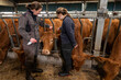 © S. Leitenberger - Formation d'une élève stagiaire de lycée agricole par une éleveuse de  vaches limousines. Vaccination contre la FCO avec le vaccin de la marque Bluevac