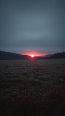 Wall Mural - Red sunset over a field and mountains.