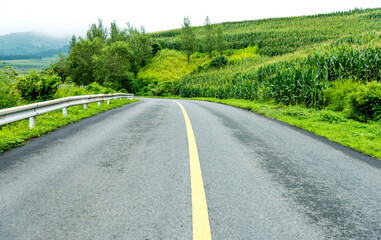 Wall Mural - The road to the mountain