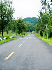 Wall Mural - The road to the mountain