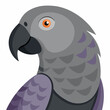 © misroprosad - grey parrot cartoon vector