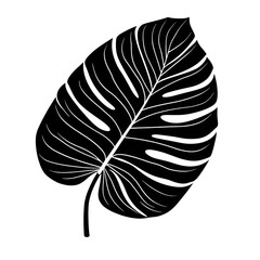 Poster - Single Monstera Leaf Isolated on White Background for Creative Designs