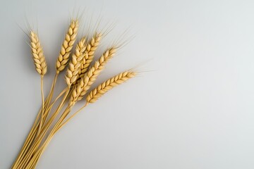 Sticker - ear of wheat