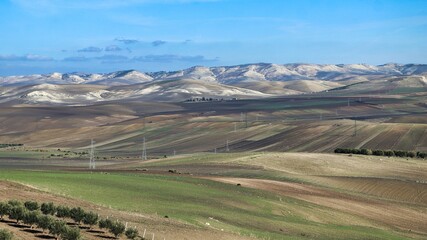 Canvas Print - Northern Morocco