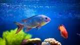 160_f_1199932944_emhucvafelmqpulpiawktoarhbpl9obt
