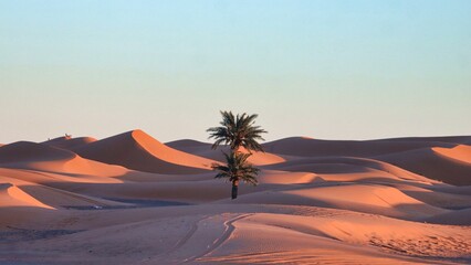 Canvas Print - Merzouga, Morocco