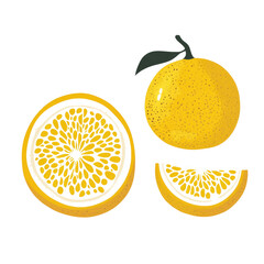 Poster - This image shows a stylized whole orange, a halved orange, and a segment of an orange.
