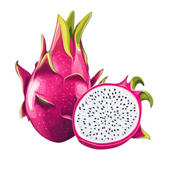 Poster - A vibrant illustration showcases a whole and a halved pink dragon fruit against a white background.