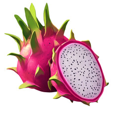 Poster - A digital painting depicts a whole and a halved dragon fruit showcasing its pink skin and white flesh with black seeds.