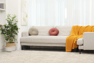 Wall Mural - Light living room interior. Comfortable sofa with blanket and houseplant indoors