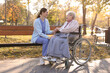 © New Africa - Caregiver with elderly woman in wheelchair at park
