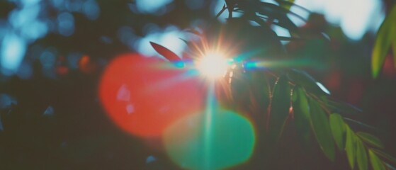 Aufkleber - Sunlight filtering through leaves creating a vibrant lens flare in a tranquil forest setting