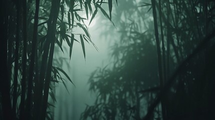 Sticker - Mystical bamboo forest shrouded in mist, creating a serene and mysterious atmosphere.