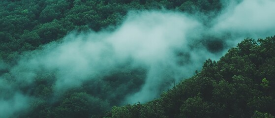 Aufkleber - Ethereal fog drifts through a vibrant forest landscape under diffused light