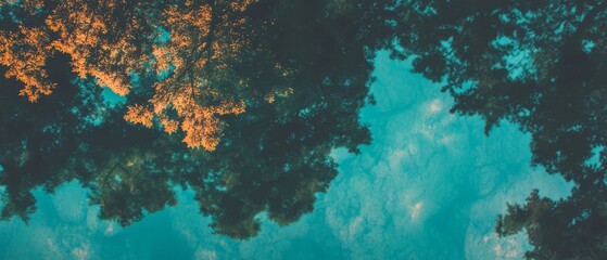 Poster - Vibrant water reflecting tranquil trees and forest in calm lake from above during sunny day
