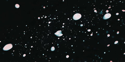 Poster - Grunge halftone overlay texture with ink splatter effect on black background