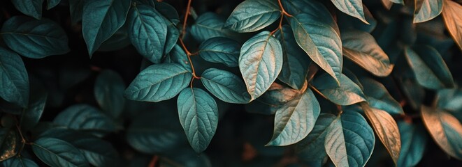 Wall Mural - beautiful green leaves on a blurred background with copy space for a nature and environment concept,